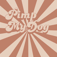 Collier pour chien en Biothane, résistant et réglable, boucle en laiton, pour petits et grands chiens - Madnesis