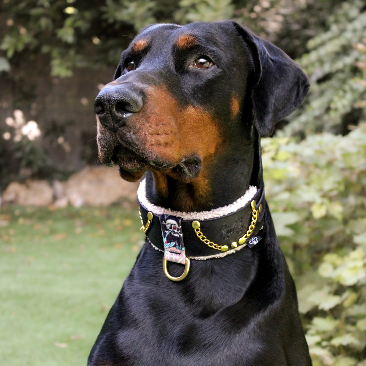 Collab LA MUTT X MADNESIS