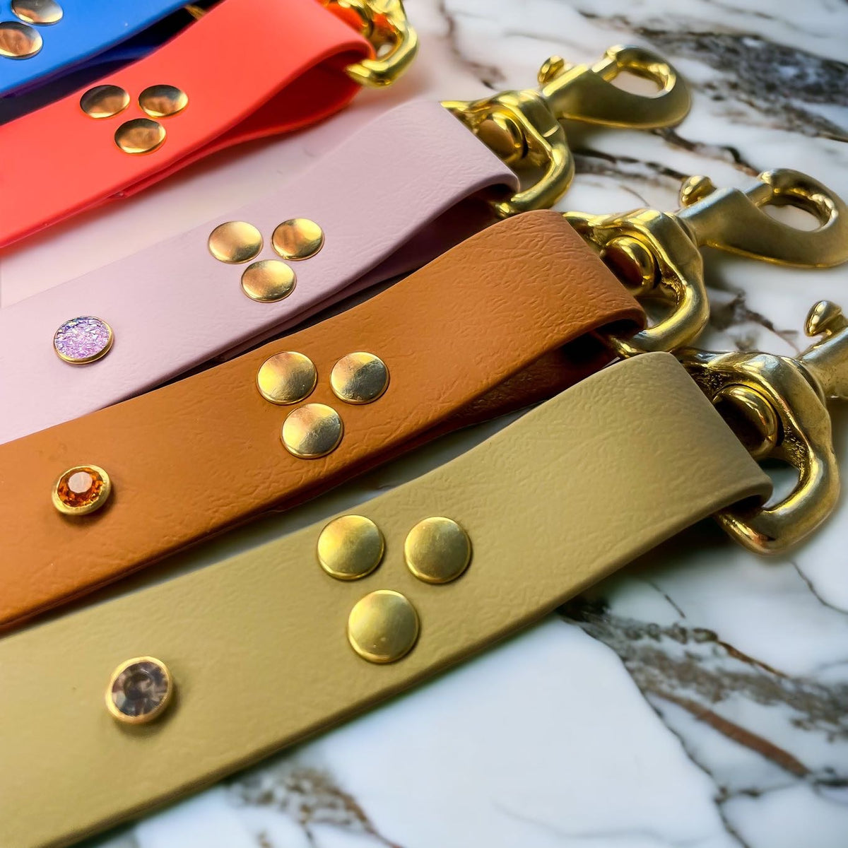 Laisse pour chien en Biothane, résistante et réglable, mousqueton en laiton, laisse sécurisée - Madnesis