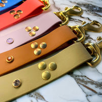 Laisse pour chien en Biothane, résistante et réglable, mousqueton en laiton, laisse sécurisée - Madnesis