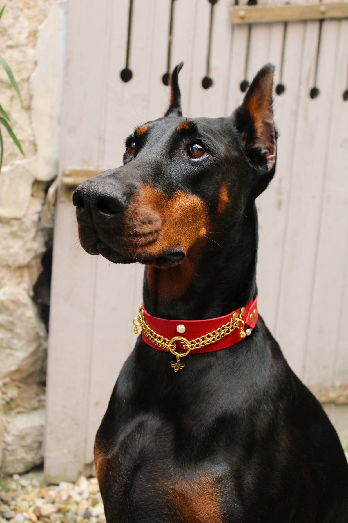 Bee Mine (Edition limitée)