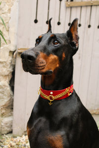 Bee Mine (Edition limitée)