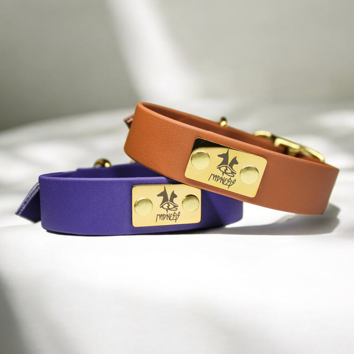 Collier pour chien en Biothane, résistant et réglable, boucle en laiton, pour petits et grands chiens - Madnesis