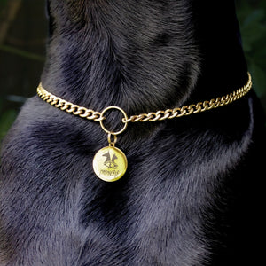 Collier chaine pour chien, porte médaille, résistant et inoxydable - Madnesis