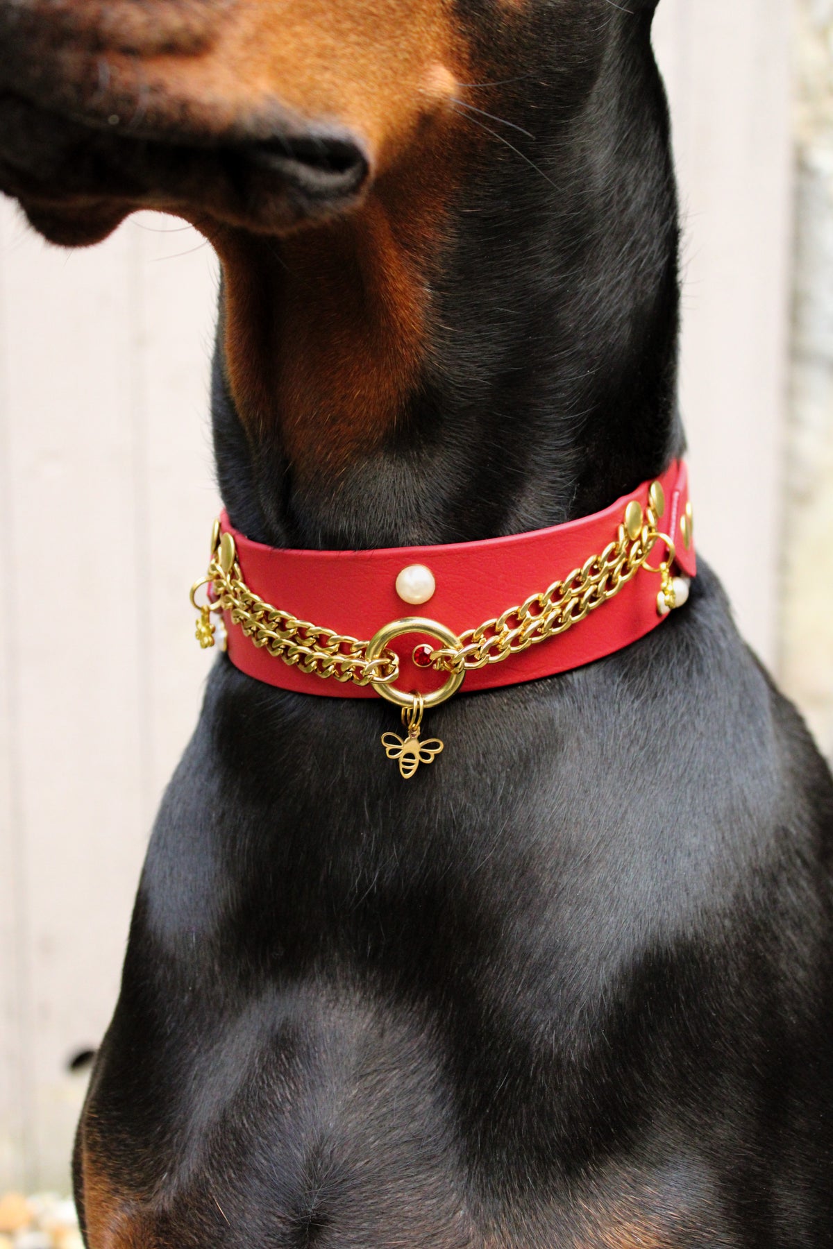 Bee Mine (Edition limitée)