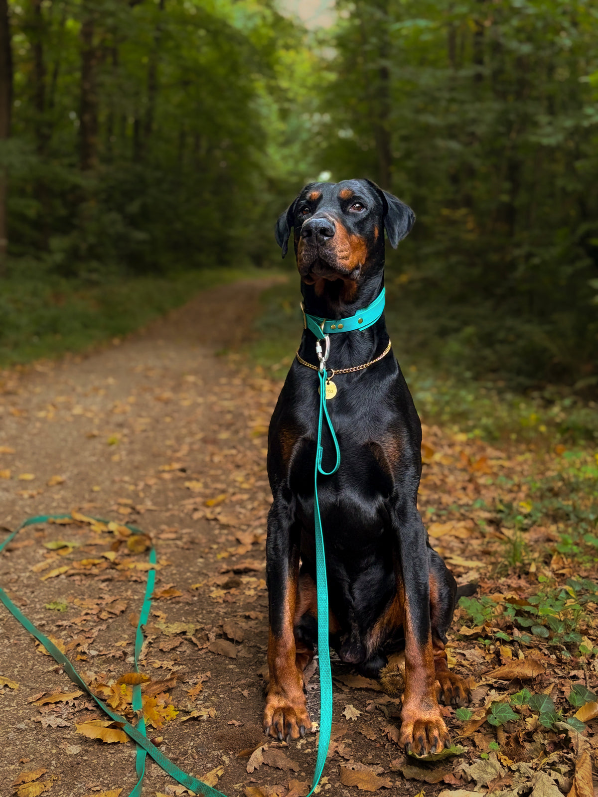 Longe Intrépide 20mm