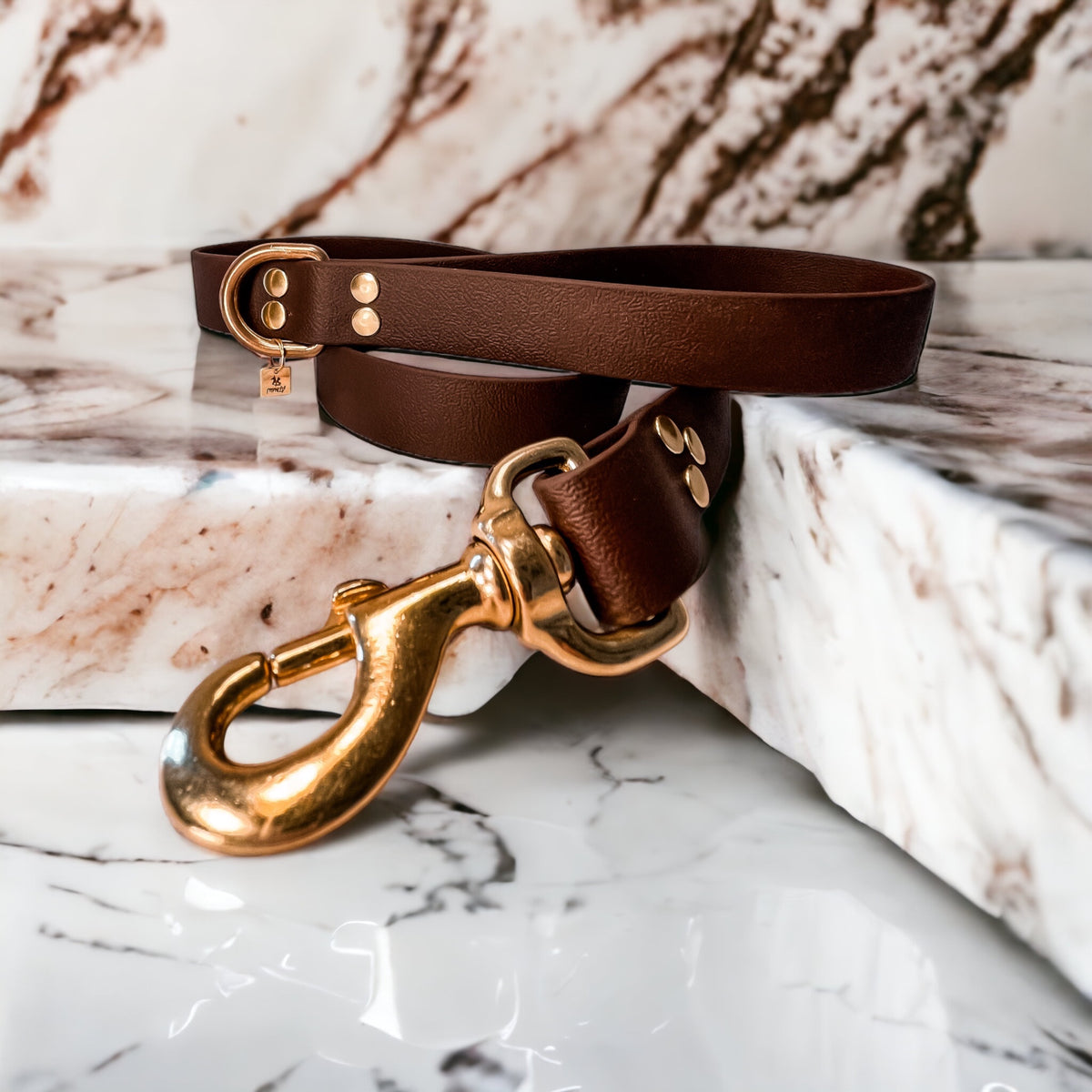 Laisse pour chien en Biothane, résistante et réglable, mousqueton en laiton, laisse sécurisée - Madnesis