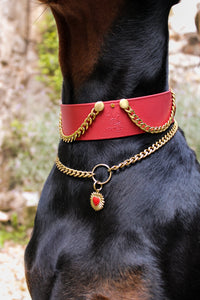 Porte-médaille Aton