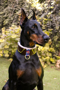 Collab LA MUTT X MADNESIS