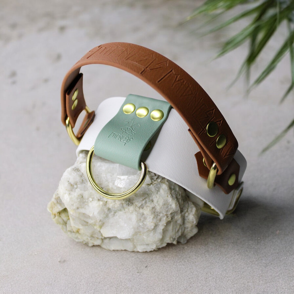 Collier pour chien en Biothane, résistant et réglable, boucle en laiton, pour petits et grands chiens - Madnesis