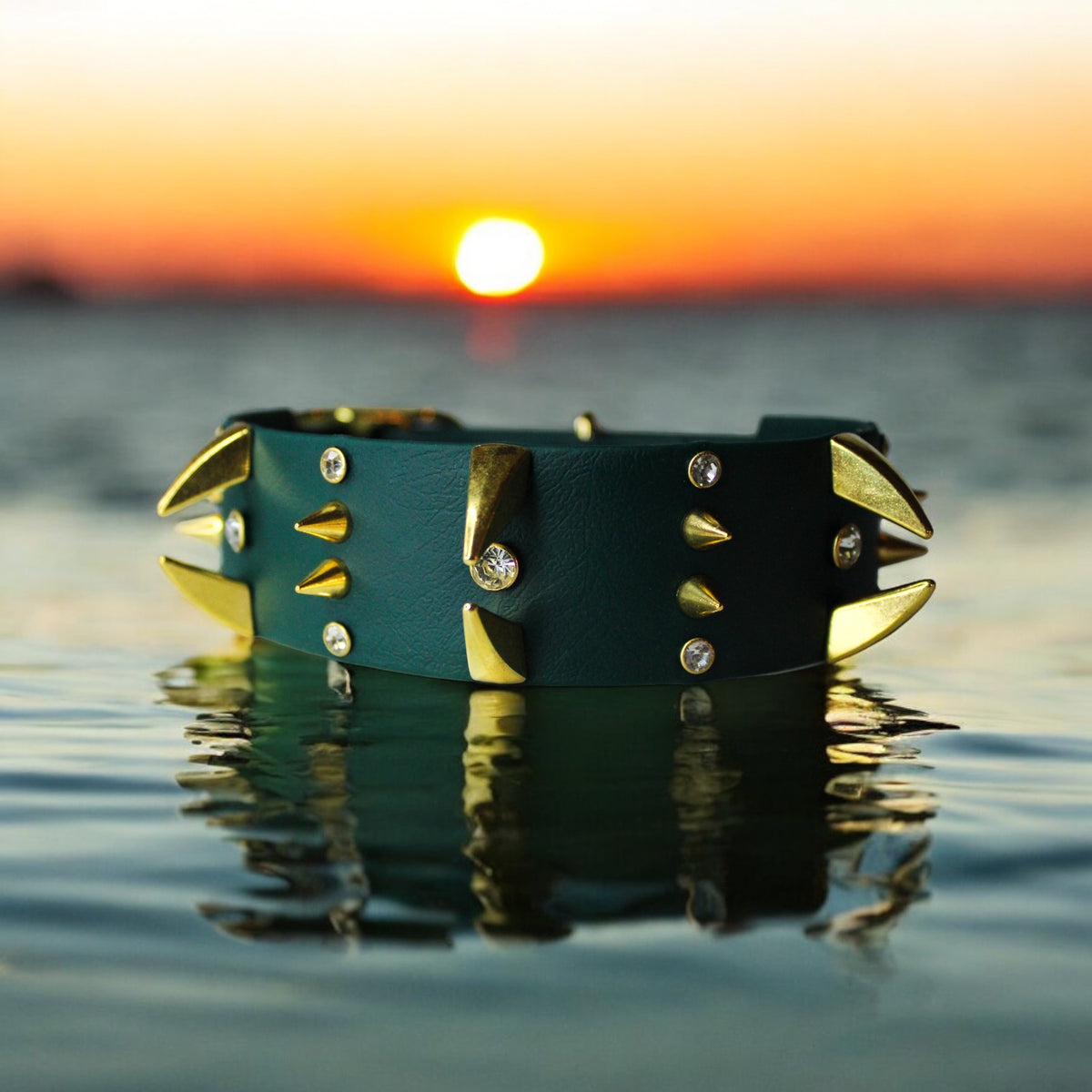 Collier pour chien en Biothane, résistant et réglable, boucle en laiton, pour petits et grands chiens - Madnesis