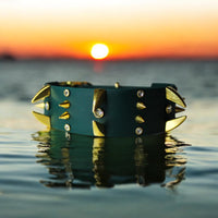 Collier pour chien en Biothane, résistant et réglable, boucle en laiton, pour petits et grands chiens - Madnesis