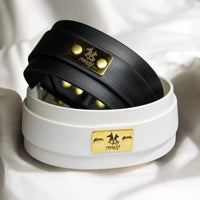 Collier pour chien en Biothane, résistant et réglable, boucle en laiton, pour petits et grands chiens - Madnesis