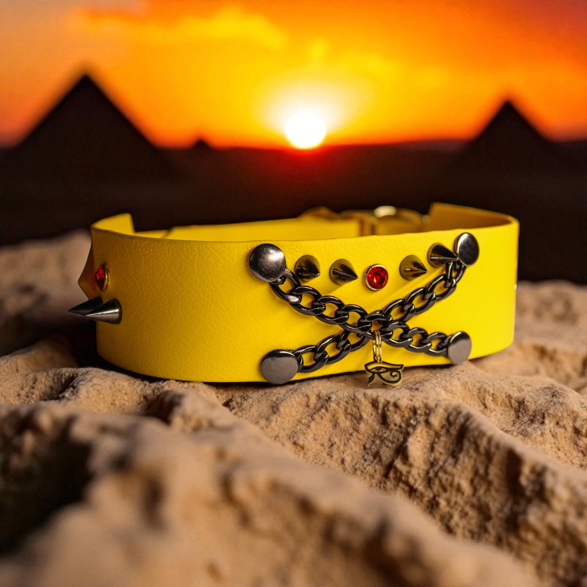 Collier pour chien en Biothane, résistant et réglable, boucle en laiton, pour petits et grands chiens - Madnesis