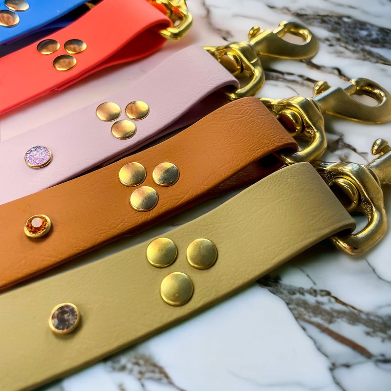 Laisse pour chien en Biothane, résistante et réglable, mousqueton en laiton, laisse sécurisée - Madnesis