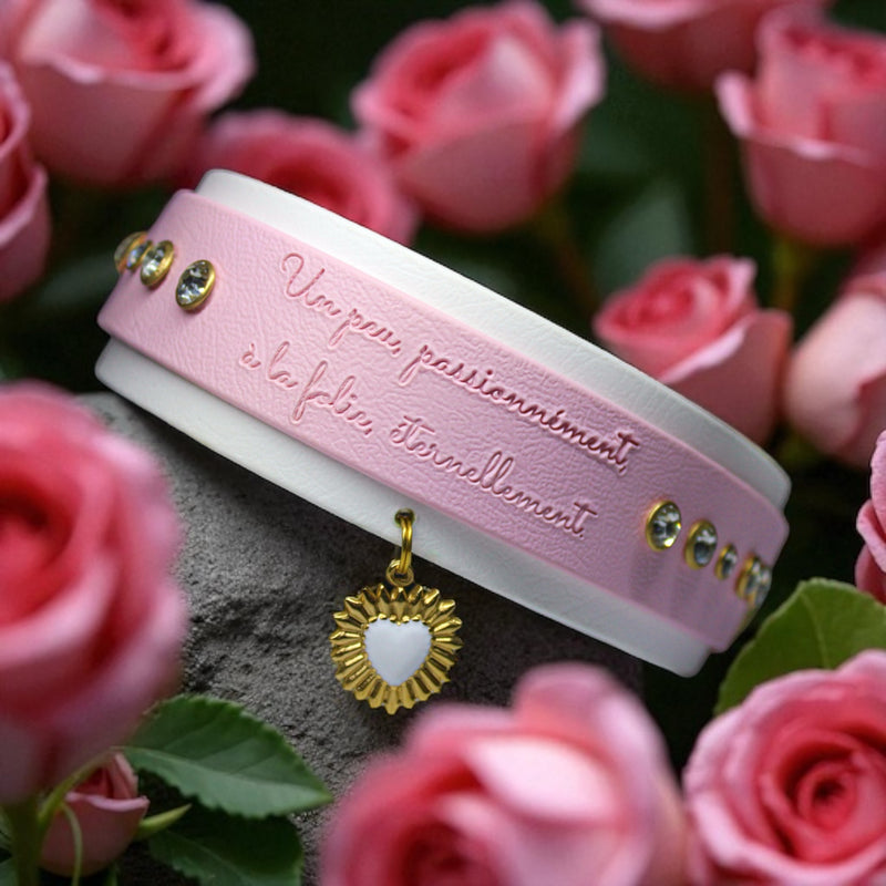 Collier pour chien en Biothane, résistant et réglable, boucle en laiton, pour petits et grands chiens - Madnesis