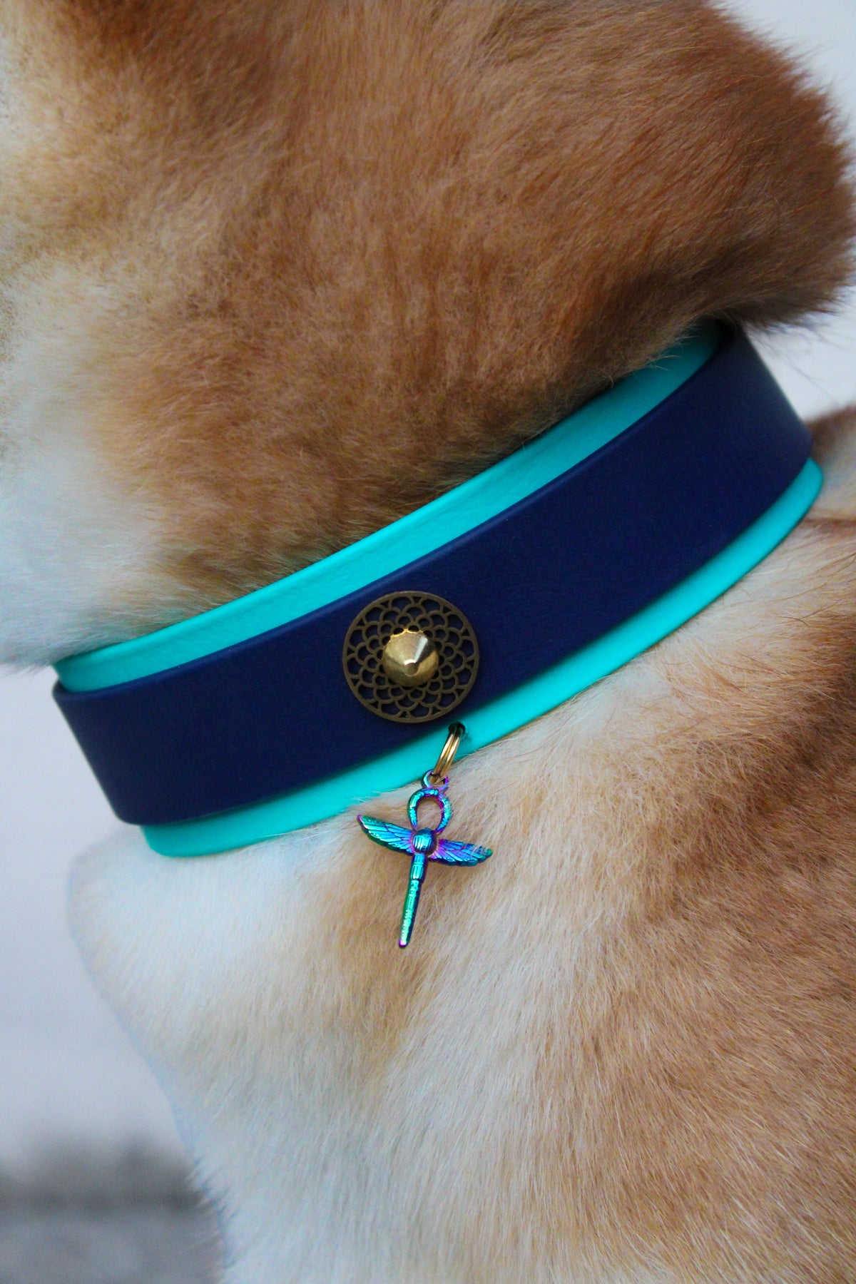 Medjini