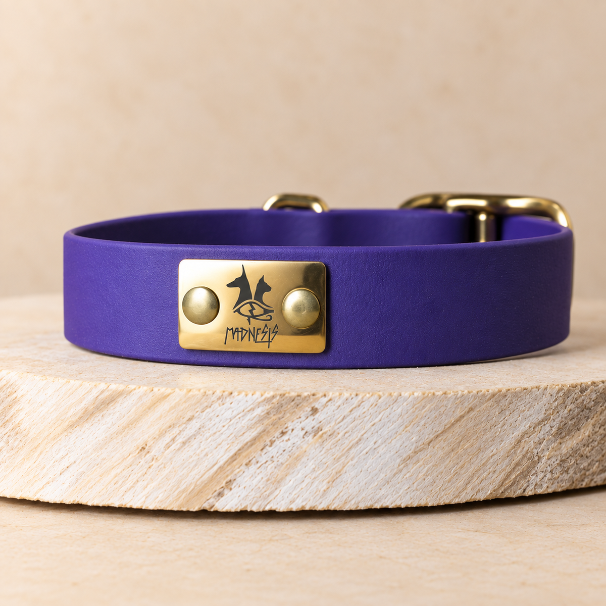 Talisman – Collier pour chien en Biothane® – 25 mm – Violet foncé – S 30/40 cm