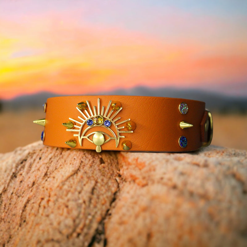 Collier pour chien en Biothane, résistant et réglable, boucle en laiton, pour petits et grands chiens - Madnesis