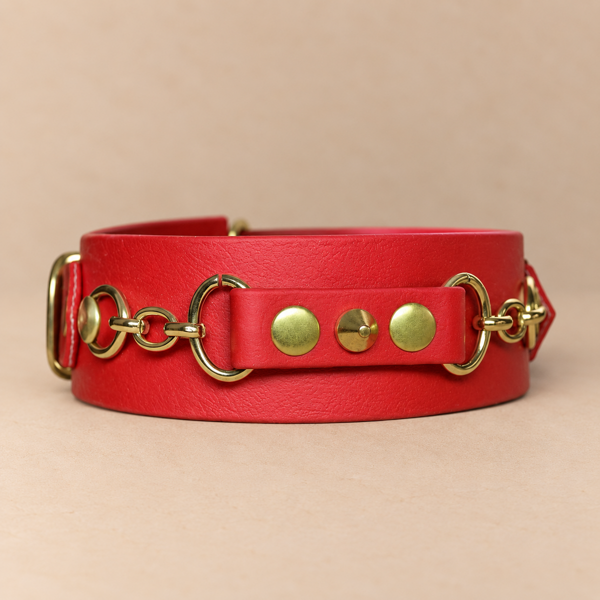 Palerme – Collier pour chien en Biothane® – Rouge – S 30/40 cm