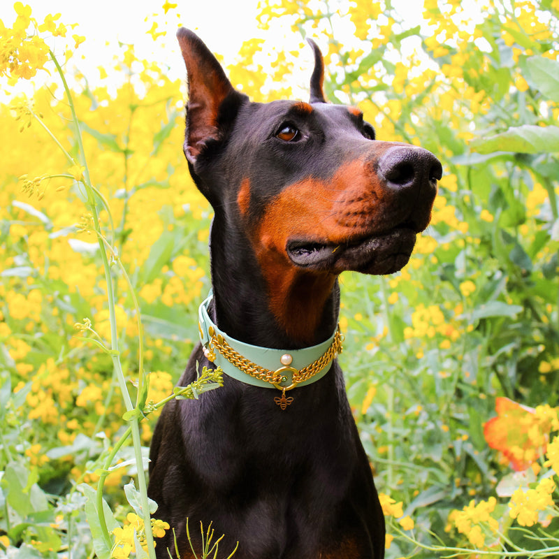 Bee Mine (Edition limitée)