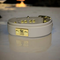 Collier pour chien en Biothane, résistant et réglable, boucle en laiton, pour petits et grands chiens - Madnesis