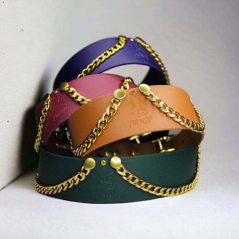 Collier pour chien en Biothane, résistant et réglable, boucle en laiton, pour petits et grands chiens - Madnesis