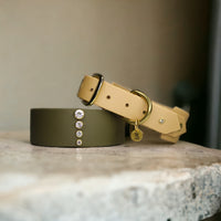 Collier pour chien en Biothane, résistant et réglable, boucle en laiton, pour petits et grands chiens - Madnesis