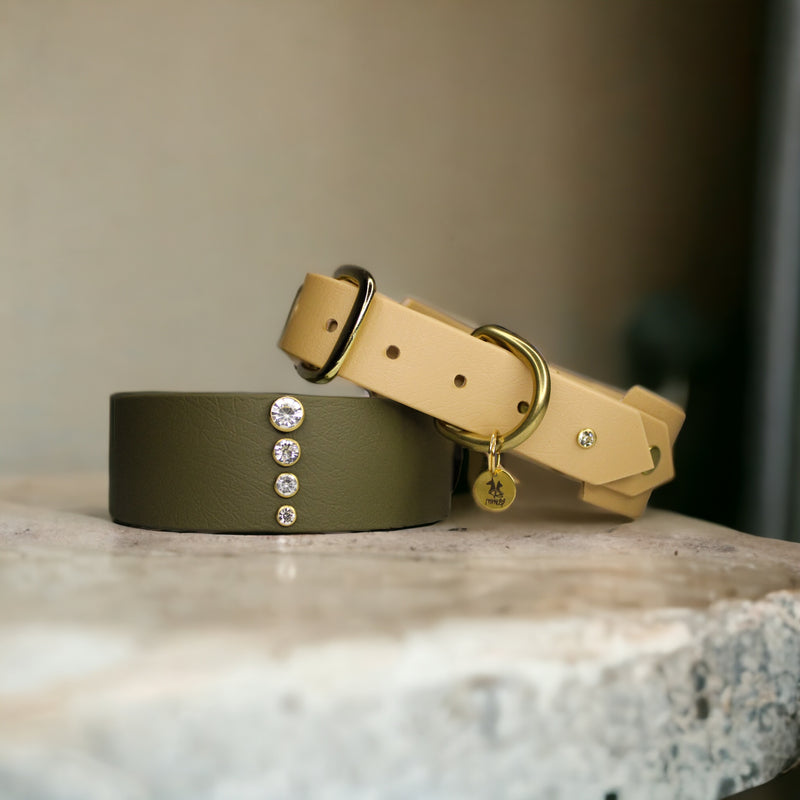 Collier pour chien en Biothane, résistant et réglable, boucle en laiton, pour petits et grands chiens - Madnesis