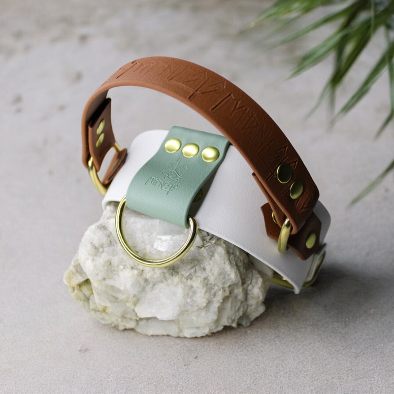 Collier pour chien en Biothane, résistant et réglable, boucle en laiton, pour petits et grands chiens - Madnesis