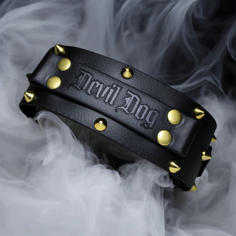 Collier pour chien en Biothane, résistant et réglable, boucle en laiton, pour petits et grands chiens - Madnesis