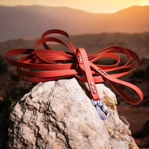 Longe pour chien en Biothane, résistante, education canine ou randonnée, mousqueton en aluminium, pour chiot et grands chiens, pour mantrailing - Madnesis