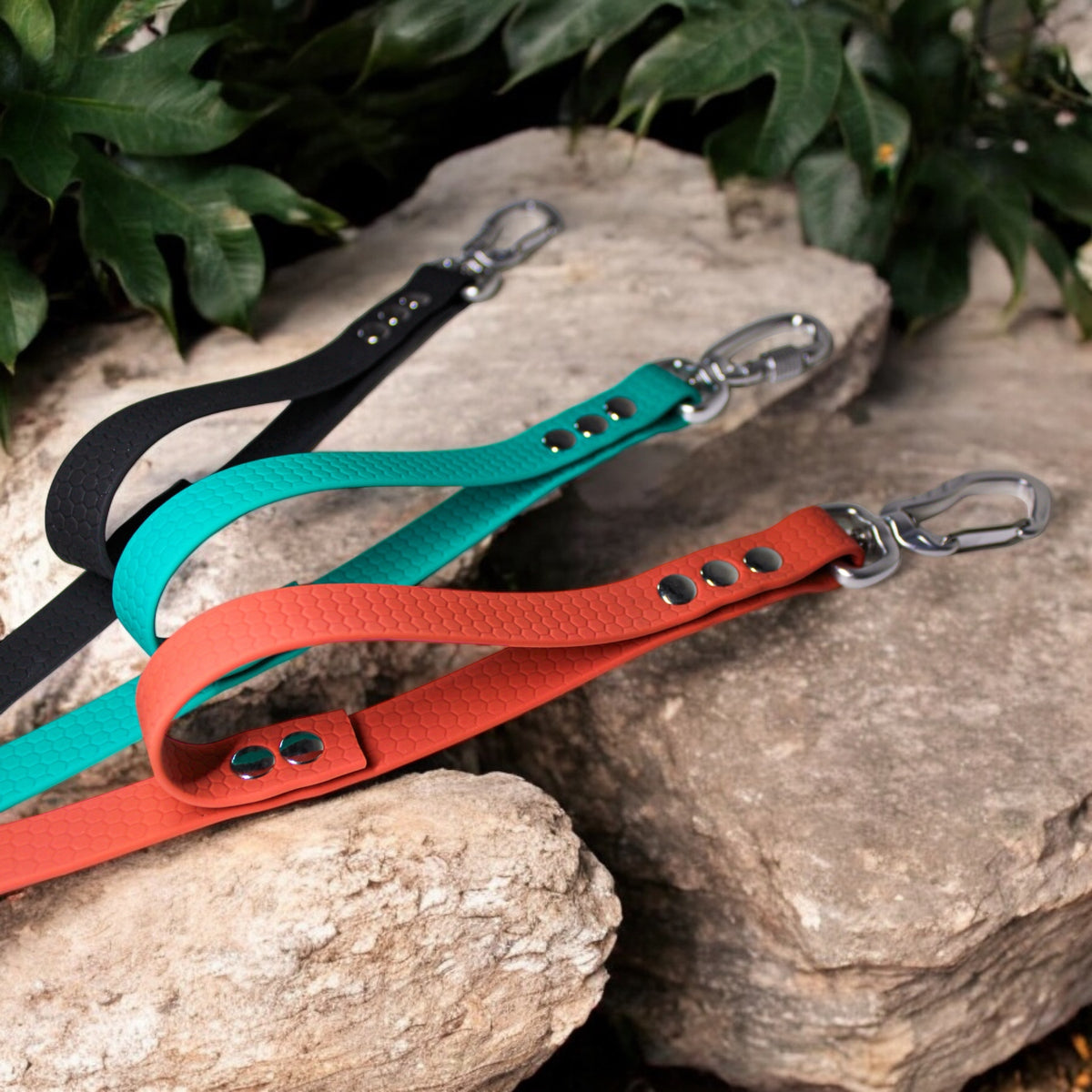 Longe Intrépide 20mm