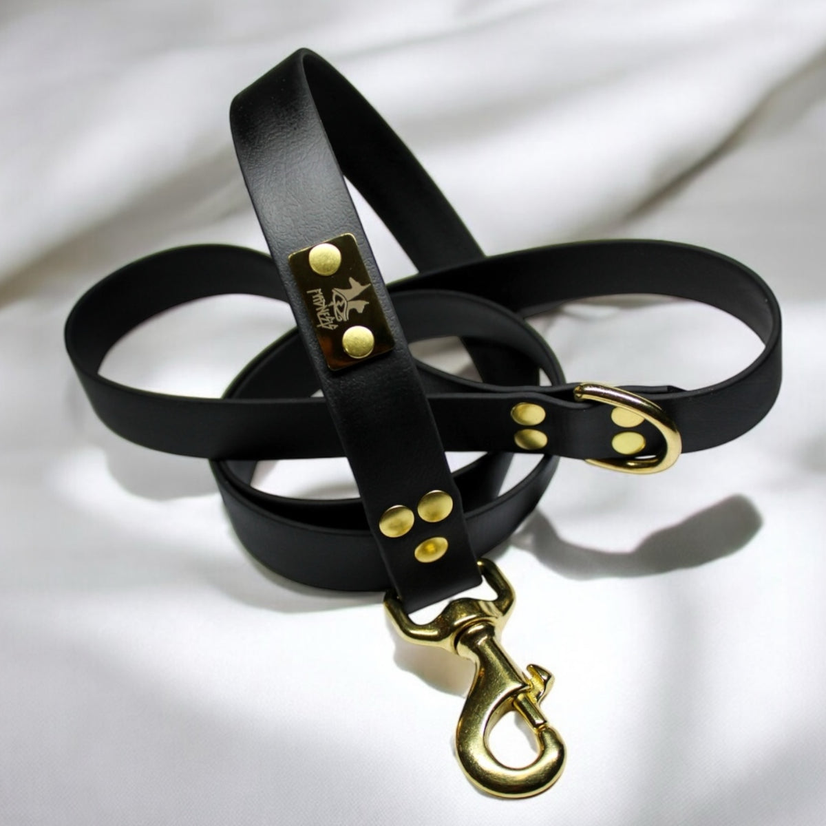 Laisse pour chien en Biothane, résistante et réglable, mousqueton en laiton, laisse sécurisée - Madnesis