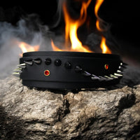 Collier pour chien en Biothane, résistant et réglable, boucle en laiton, pour petits et grands chiens - Madnesis