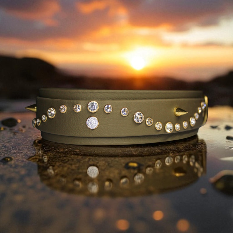 Collier pour chien en Biothane, résistant et réglable, boucle en laiton, pour petits et grands chiens - Madnesis