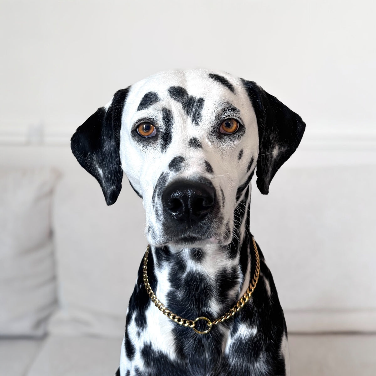 Porte-médaille Aton