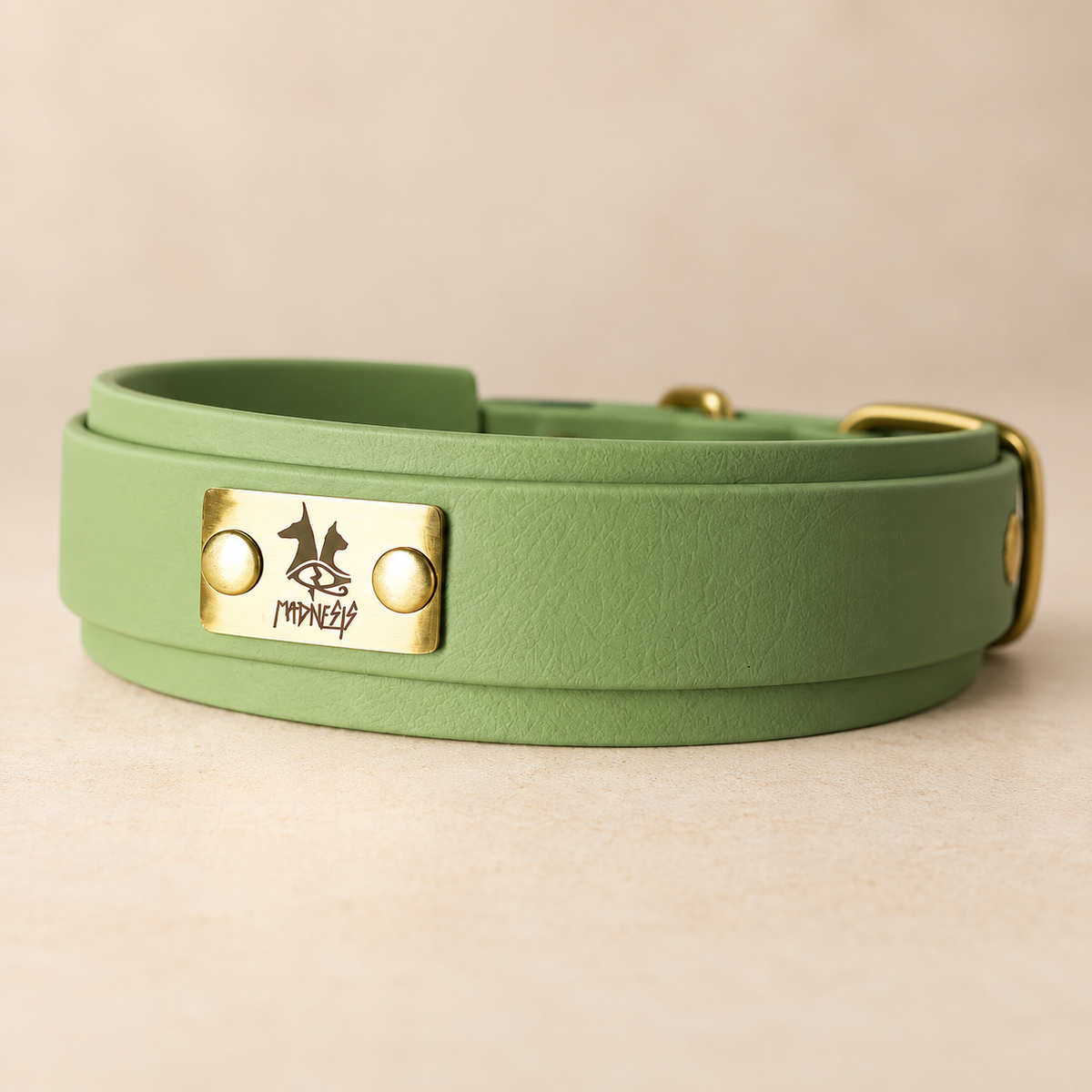 Talisman – Collier pour chien en Biothane® – 38 mm Guacamole – L 45/55